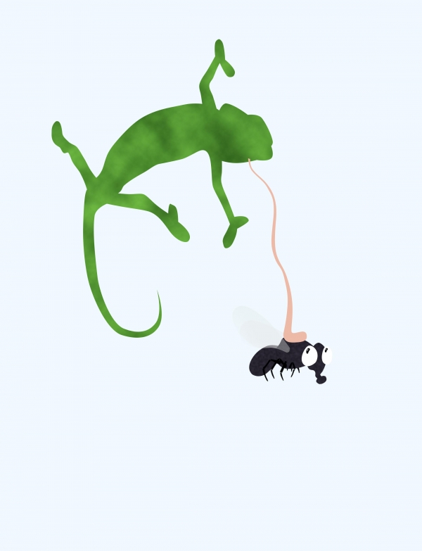 Creation of Camouflaged surprise: Step 2